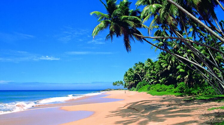 Sri Lanka Turu 4