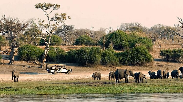 Güney Afrika Botswana Victoria Şelaleri Turu