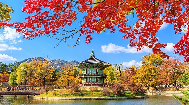 Sömestr Japonya Güney Kore Turu