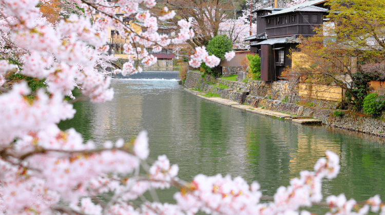 Sakura Dönemi Japonya Turu