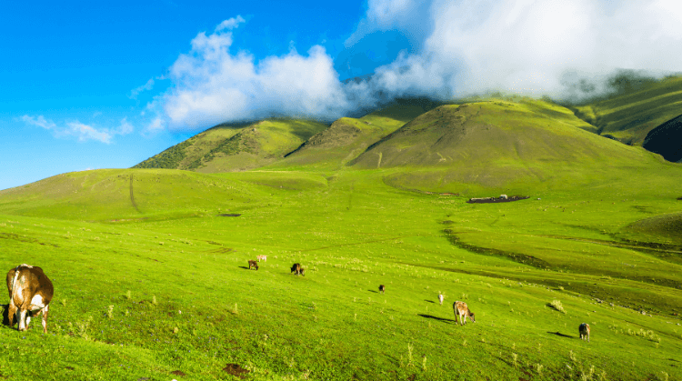 Promo Kırgızistan Turu