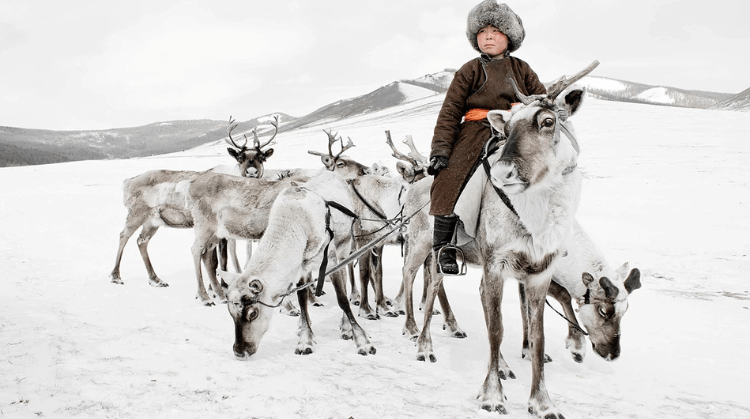 Arkhangelsk Beyaz Deniz ve Kuzey Işıkları Turu