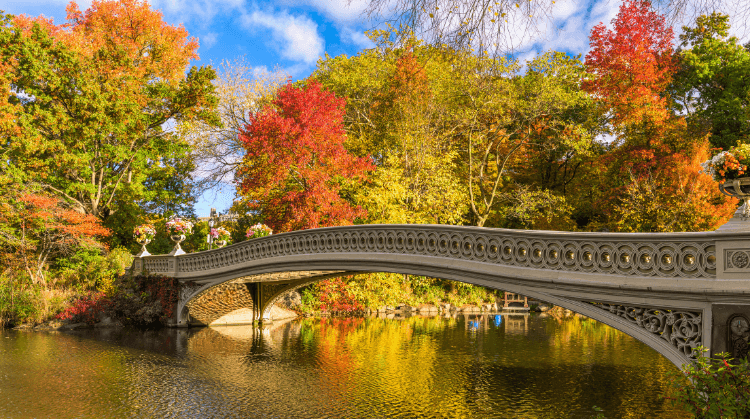Sonbaharda Kuzey Amerika Şehirleri Turu