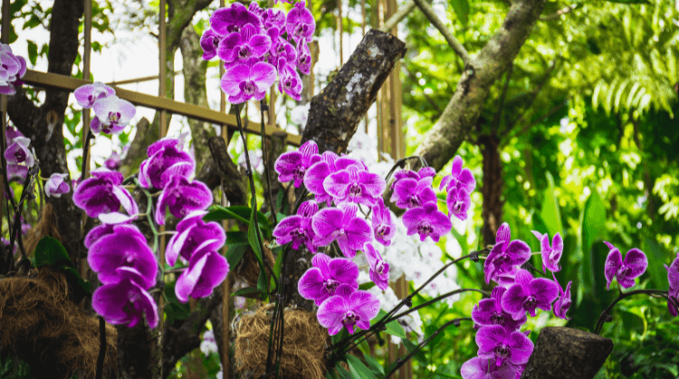 Kuala Lumpur Singapur Bali Turu 8 (Turlar Dahil)