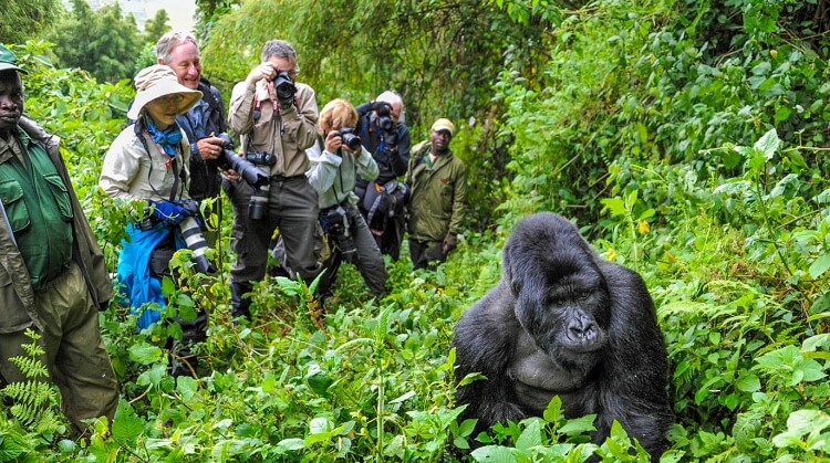 Ruanda Uganda Turu 2