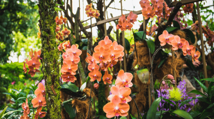 Kurban Bayramı Kuala Lumpur Singapur Bali Turu 2