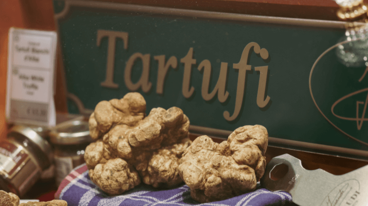 Beyaz Trüfün İzinde İtalya Piedmont Bölgesi Turu
