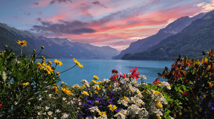 Alpler ve Bernina Ekspresi Turu 2