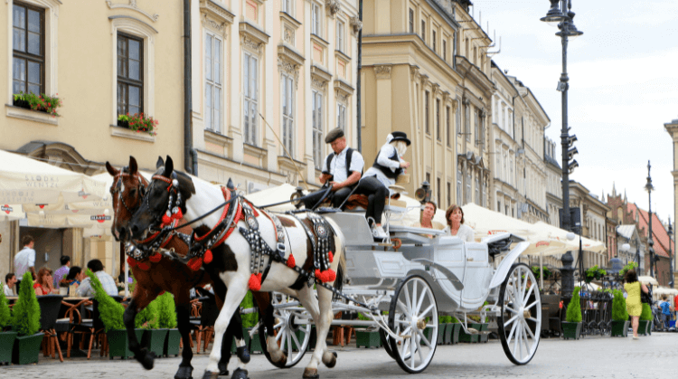 Premium Polonya Turu