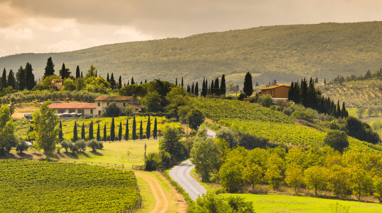 Toskana Portofino Turu