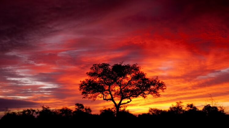 Güney Afrika Botswana Zimbabwe Victoria Şelaleri Turu 3