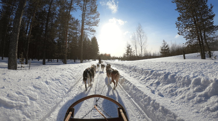 Promo Lapland Turu 2