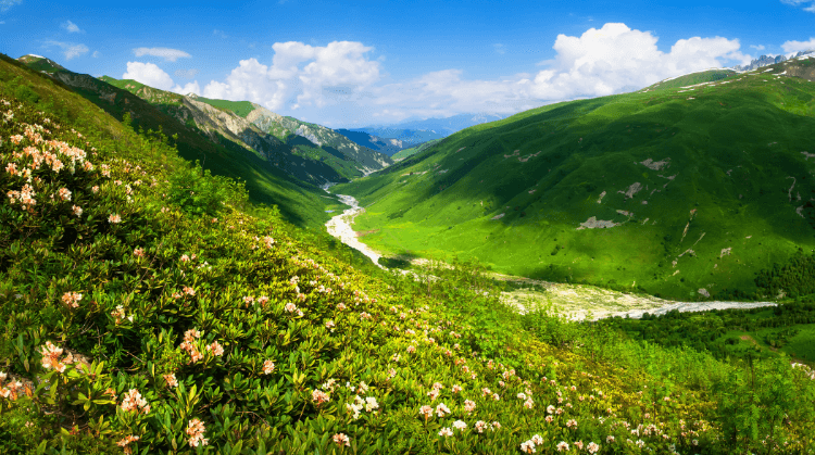 Svaneti Mestia Ushguli Turu