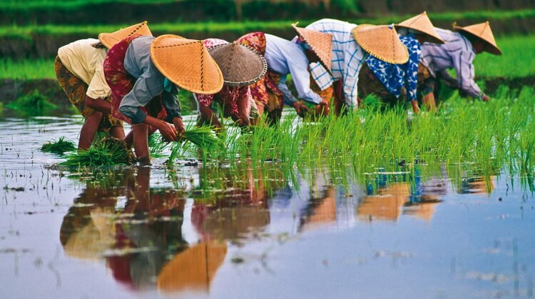 Sömestr Vietnam Turu 2