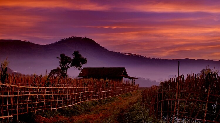 Endonezya Malezya Singapur Bali Turu