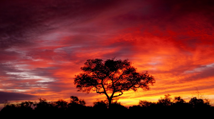 Güney Afrika Botswana Zimbabwe Victoria Şelaleri Turu 3