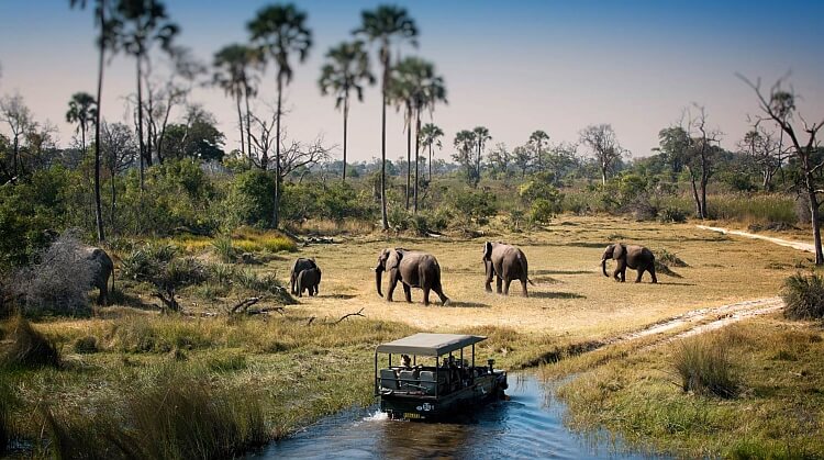 Güney Afrika Botswana Zimbabwe Victoria Şelaleri Turu 3